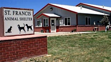 Buffalo animal shelter - Crossroads Animal Shelter in Buffalo, Minnesota. A not-for-profit organization providing affordable wellness, spay, and neuter services for companion animals, as well as adoption services for canines and felines. Animal Shelter Veterinary Clinic Non-profit Organization Animal Welfare Organization Adoption Center